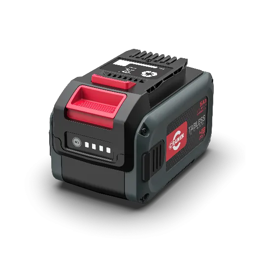 Batería 48BT216 5 Ah